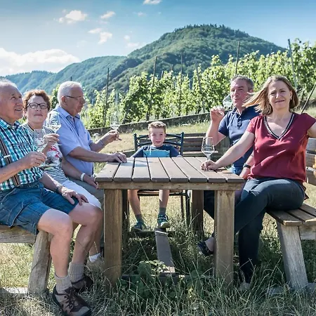 Apartment Weinquartier Conzen Ediger-Eller